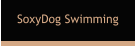 SoxyDog Swimming